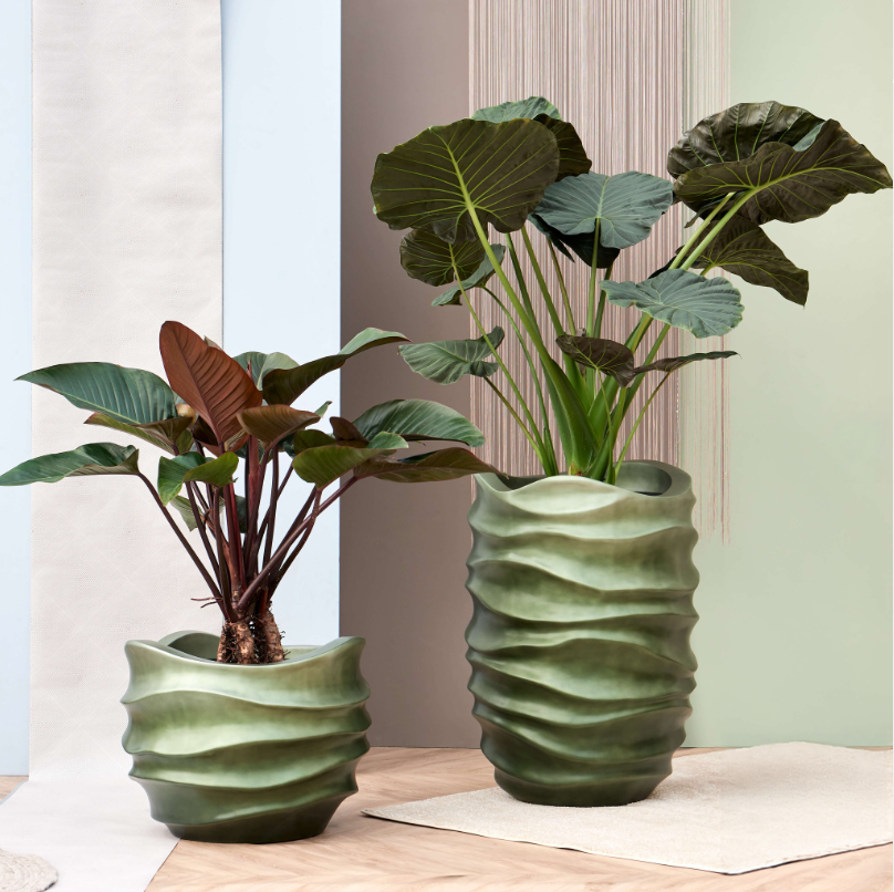 Hydrocultuur planten in luxe design pot